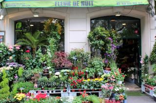 Fleuriste Fleur de Nuit 0