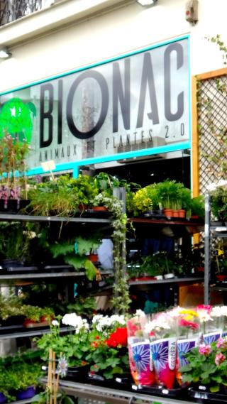Fleuriste Bionac 0
