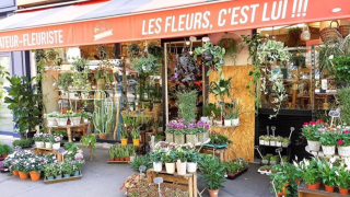 Fleuriste Les fleurs, c'est lui 0