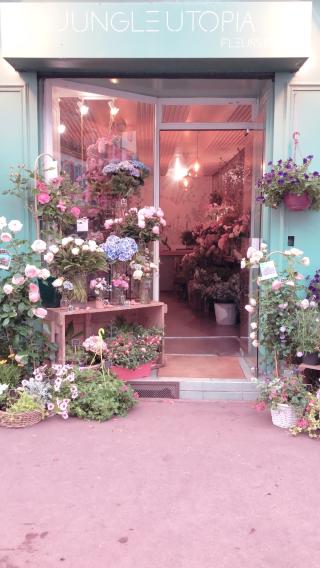 Fleuriste JUNGLE UTOPIA , Fleuriste Toulouse 0