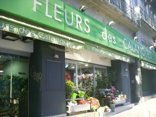 Fleuriste Fleurs des Calanques 0