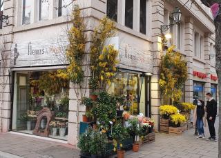 Fleuriste Fleurs de Pays - Fleuriste à Strasbourg 0