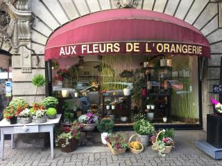 Fleuriste AUX FLEURS DE L'ORANGERIE 0