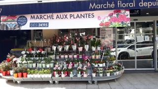 Fleuriste Monceau Fleurs 0