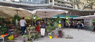 Fleuriste LA LOGE AUX FLEURS 0
