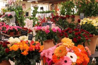 Fleuriste Floralies Selloises 0