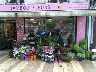 Fleuriste Bambou Fleurs, Artisan Fleuriste Meaux 0