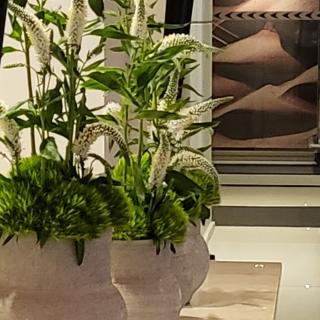 Fleuriste Flor&Sens 0