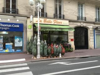 Fleuriste La Belle Fleur 0