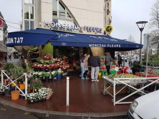 Fleuriste Monceau Fleurs 0