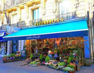 Fleuriste WISTERIA Fleuriste - Bouquets à Paris 14eme 0