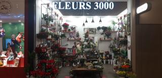 Fleuriste Fleurs 3000 0