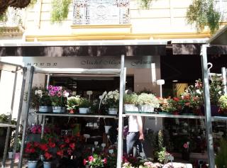 Fleuriste Passiconia 0