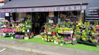 Fleuriste Anylys, Artisan Fleuriste 0