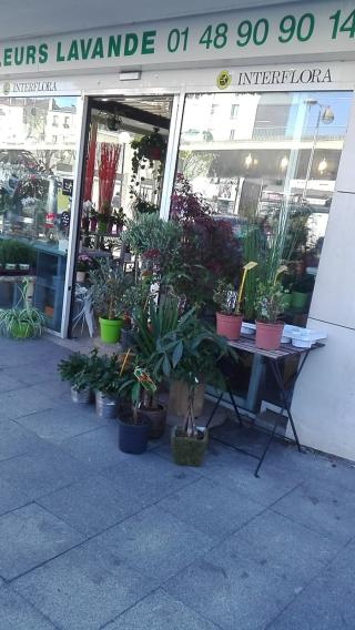 Fleuriste Lavande Fleurs 0