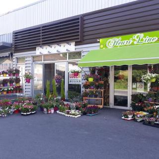 Fleuriste Fleuri'Line 0