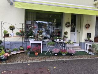 Fleuriste L'Arrosoir, Sausheim 0