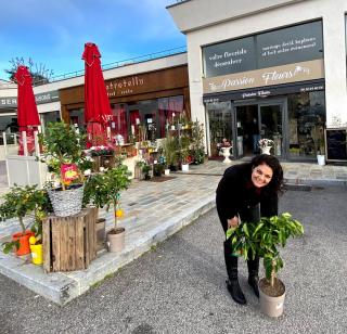 Fleuriste Passion Fleurs 0