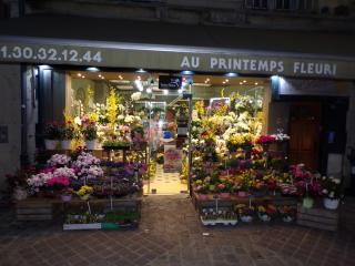 Fleuriste Au Printemps Fleuri 0