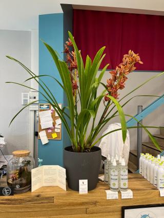 Fleuriste Jeux de Fleurs 0