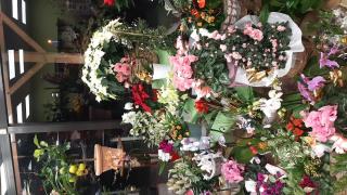 Fleuriste Le Roy Renaudin Christine Francoise 0