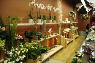 Fleuriste Un été à la campagne 1