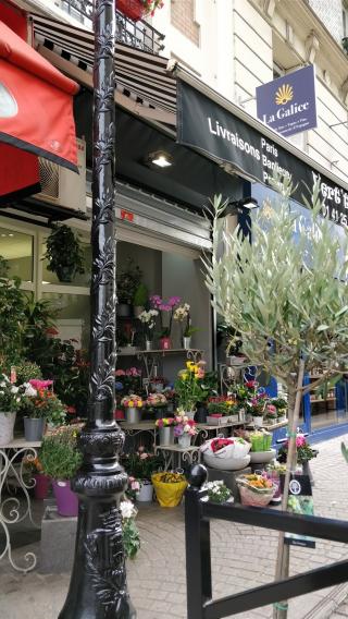 Fleuriste Vert'Tiges 0