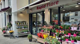 Fleuriste Rapid Flore 0