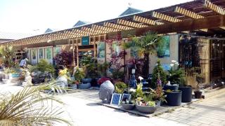 Fleuriste botanic La Seyne-sur-Mer 0