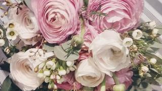 Fleuriste A fleur de pot Fleuriste 0