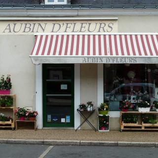 Fleuriste Aubin d'Fleurs 0