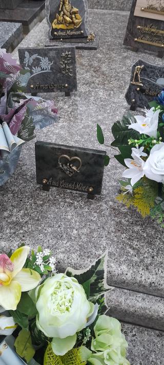 Fleuriste Maison Rambeau Racaud 0