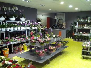 Fleuriste Florea 0