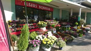 Fleuriste Fleurs Bonheur 0