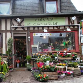 Fleuriste FLEURS DE CANNELLE 0