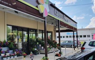 Fleuriste Carrément Fleurs - Fleuriste Chartres 28 - Livraison de fleurs à domicile 0