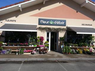 Fleuriste Fleur d'élixir 0