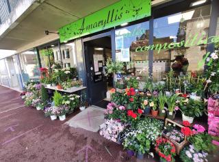 Fleuriste L'Amaryllis, Artisan Fleuriste 0