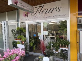 Fleuriste Oriane Fleurs 0