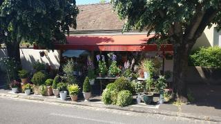 Fleuriste Jardins Et Fleurs 0