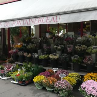 Fleuriste Les jardins de Fontainebleau 0