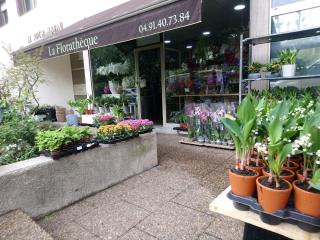 Fleuriste La Floratheque 0