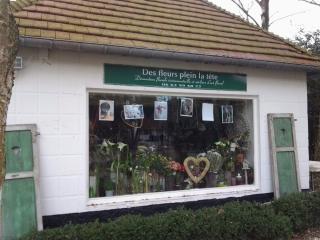 Fleuriste Des fleurs plein la tête 0