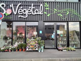 Fleuriste So Végétal 0