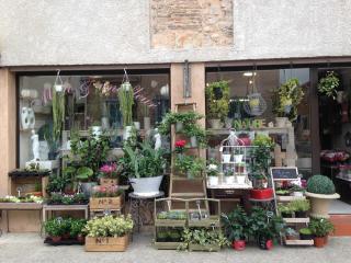 Fleuriste MILLE ET UNE FLEUR 0