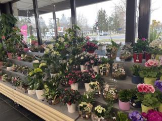 Fleuriste Carrément Fleurs - Fleuriste Chartres 28 - Livraison de fleurs à domicile 0