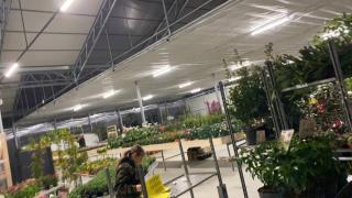 Fleuriste Jardinerie-Moulin Saint Estève 0