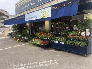 Fleuriste Monceau Fleurs 0