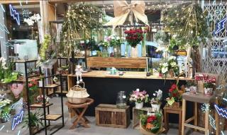 Fleuriste A Fleur de Pot 0