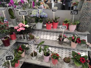 Fleuriste Monceau Fleurs 0